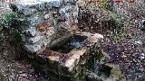 Fuente Piedra. 