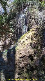 Parque Natural del Monasterio de Piedra. Cascada Sombr�a. 