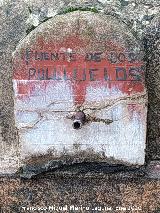Fuente de los Polluelos. Ca�o