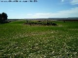 Calatrava la Vieja. Arrabales. Restos de planta circular al sur motilla?