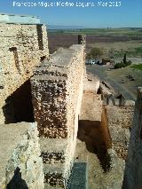 Calatrava la Vieja. Alczar. Muralla