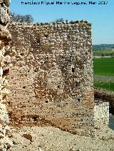 Calatrava la Vieja. Torren Sur de la Medina IV. 