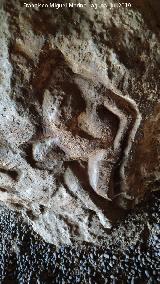 Venus de Frailes. 