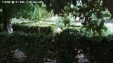 Cuarto Real de Santo Domingo. Jardines