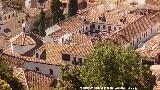 Monasterio de San Bernardo. Desde la Alhambra