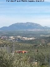 Aznaitn. 