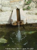 Pilar de Saludeja. Ca�o