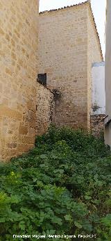 Colegiata de Santa Mar�a de los Reales Alc�zares. Parte trasera