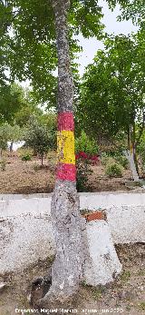 Espa�a. El Centenillo - Ba�os de la Encina