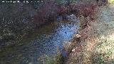 Arroyo de Mart�n P�rez. 