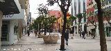 Calle Rold�n y Mar�n. 