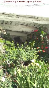 Casa de la Calle Horno n� 7. Jard�n