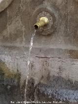 Fuente de la Calle San Juan de Dios. Ca�o