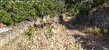 Estaci�n del Cable del Centenillo. Salida del cable