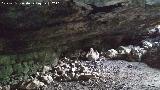 Cueva de la Gota. 