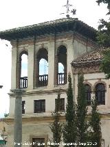 Casa de la Calle Ancha de la Virgen n 25. Torre mirador