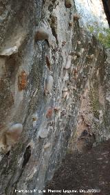 Rocdromo del Cerro de Santa Catalina. 