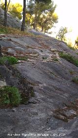 Losa del Cerro de Santa Catalina. 