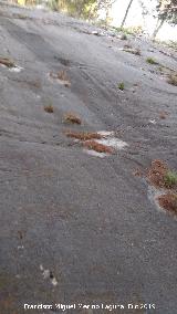 Losa del Cerro de Santa Catalina. 