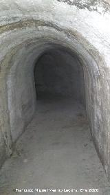 Refugio de la Gineta. 