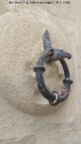 Casa de la Calle Patrocinio Biedma n� 3. Argolla derecha