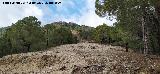Cerro de la Torquilla. Ladera este