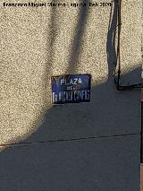 Plaza Doctor Alcal� Campos. Placa