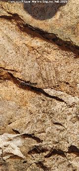 Abrigo del Reticulado. Situaci�n del reticulado