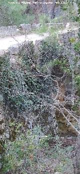 Puente del Arroyo de los Ciervos. 