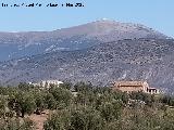 Cortijo Jaralejo. Al fondo el Almad�n