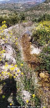 Acequia de la Albardilla. 