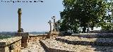 V�a Crucis del Santuario. 