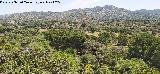 Cerro del Castillo. Desde el Encinarejo