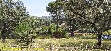 Observatorio de Do�a Rosa. 
