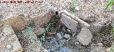 Fuente de la Sierra. 