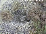 Castillo del Tejar de los Moros. Depresin del terreno por un posible aljibe