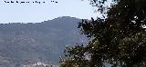Cerro Mont�n de Trigo. 