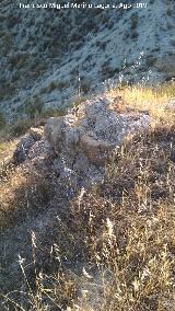 Castillo de Nebl�n. 