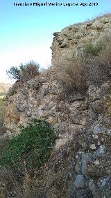 Castillo de Nebl�n. 