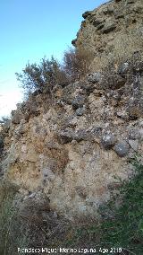 Castillo de Nebl�n. 