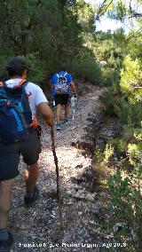 Ca�ada del Sabinar. 