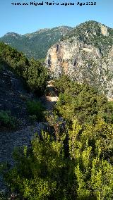 Ca�ada del Sabinar. 