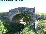 Puente del Guadalcotn. 