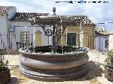 Fuente de la Iglesia. 