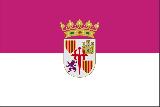 Villanueva de los Infantes. Bandera