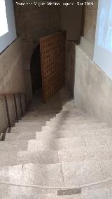 Alhambra. Palacio de Carlos V. S�tano