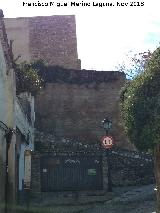 Murallas de Granada. Muralla Zir�
