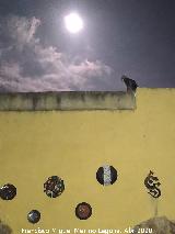 Superluna durante el confinamiento. Los Villares Gato - Felis silvestris catus. Superluna durante el confinamiento. Los Villares