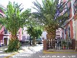 Calle Calvo Sotelo. 