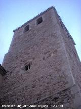 Colegiata de San Bartolom�. Campanario